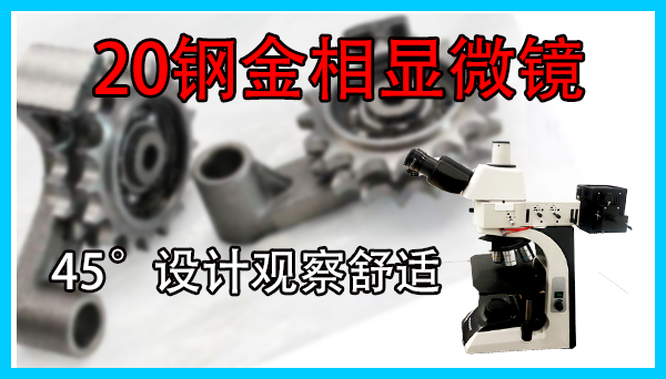 20钢金相显微镜