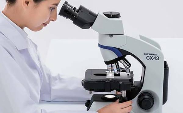 奥林巴斯显微镜 奥林巴斯显微镜
