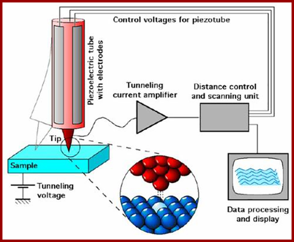 原子力显微镜多少钱